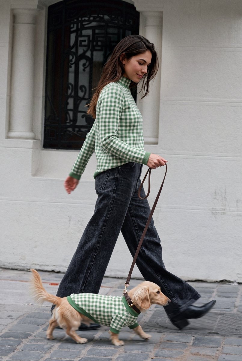 Pet brand feed post: dog in green gingham jumper on a street walk